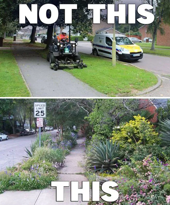 This Group Unites All Plant Lovers And Shares The Most Hilarious Gardening Posts Out There (50 Posts)