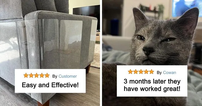 See 58 Items Every Cat Lover Secretly Wants But Won't Ask For