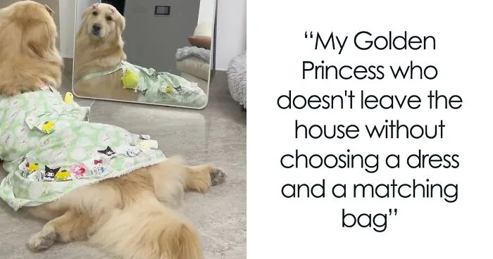 She’s Narcissistic And She’s Happy About It: This Doggo Doesn’t Go Anywhere Without Her Outfit