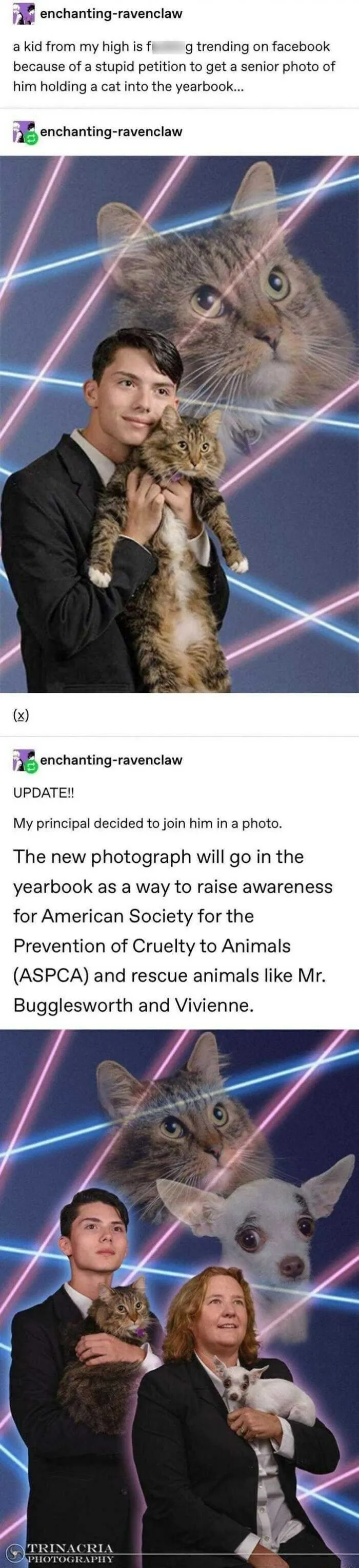 Harmless Yet Wholesome