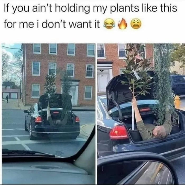This FB Group Is Home To Hilarious Relationship Memes, And Here Are 50 Of The Best
