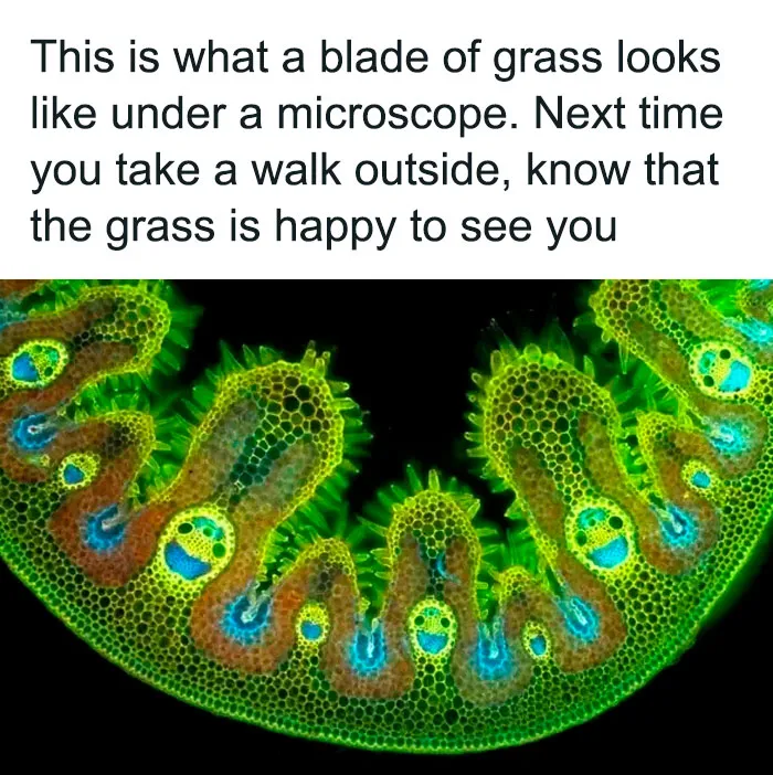 “How Everything Works”: 50 Interesting Facts You Might Not Know About The World