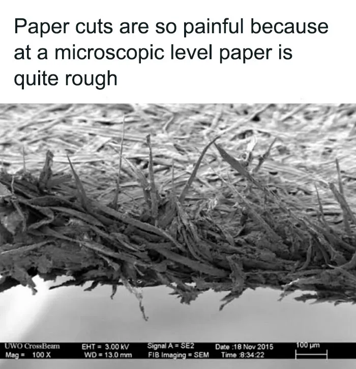 “How Everything Works”: 50 Interesting Facts You Might Not Know About The World