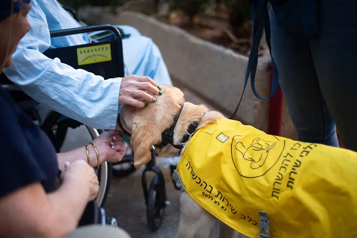 I Took Photos Of Amazing Service Dogs In Training, And They Bring Absolute Joy To Hospital Patients (9 Pics)