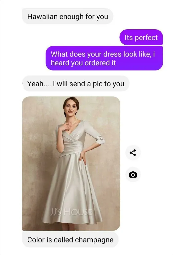 My Almost Mother-In-Law Just Showed Me The Dress She Will Be Wearing To My Wedding In Two Months