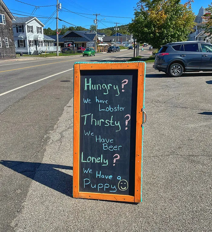 They Have Everything You Need