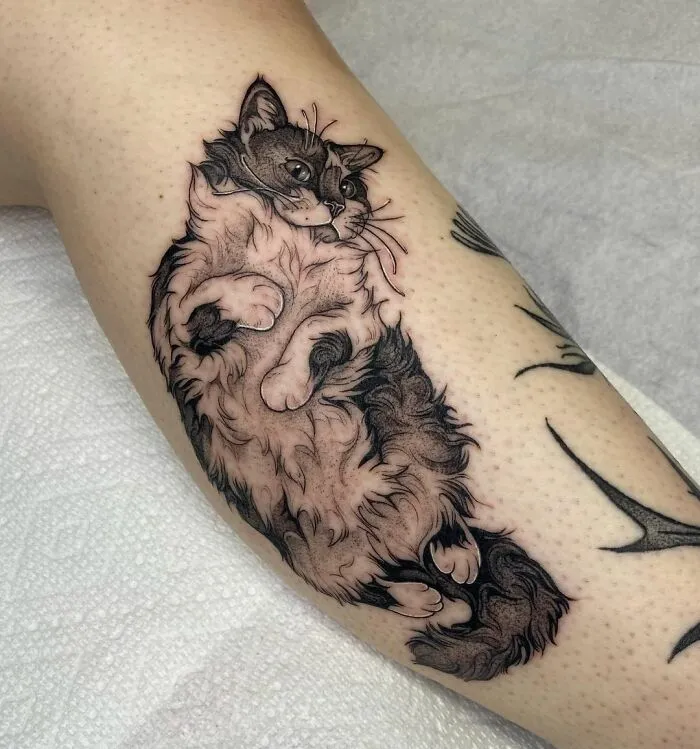 I Collected The Cutest Pet Portrait Tattoos From Different Artists (25 Pics)