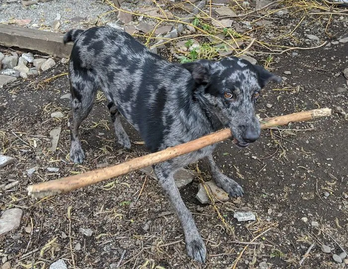 Nigel's Favorite Game: Try To Take It, I Dare You