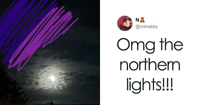 38 Of The Funniest Memes About Not Seeing The Northern Lights