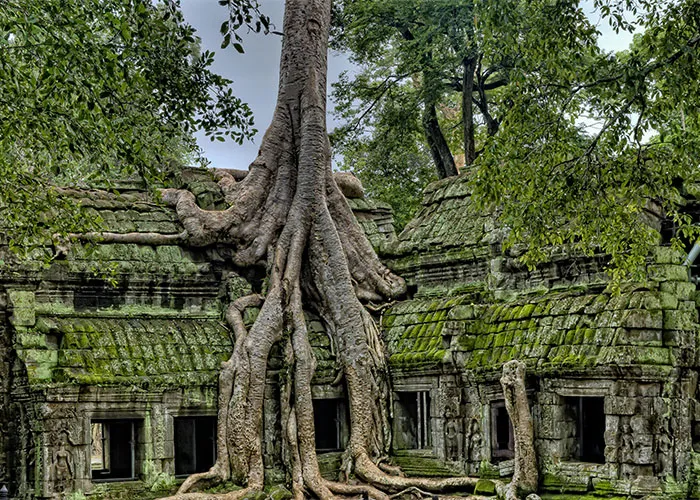“What Tourist Attractions Are Not Overrated?”: 35 Places That Are Worth The Hype