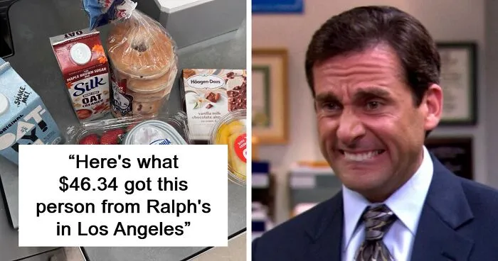50 People Show How Much Groceries Cost Where They Live (New Pics)