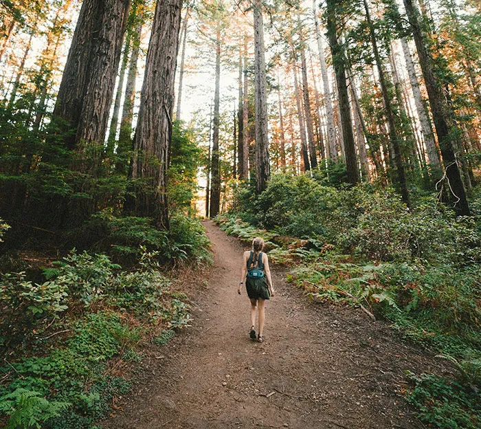 30 People Share What Really Happened To People Who Just Disappeared