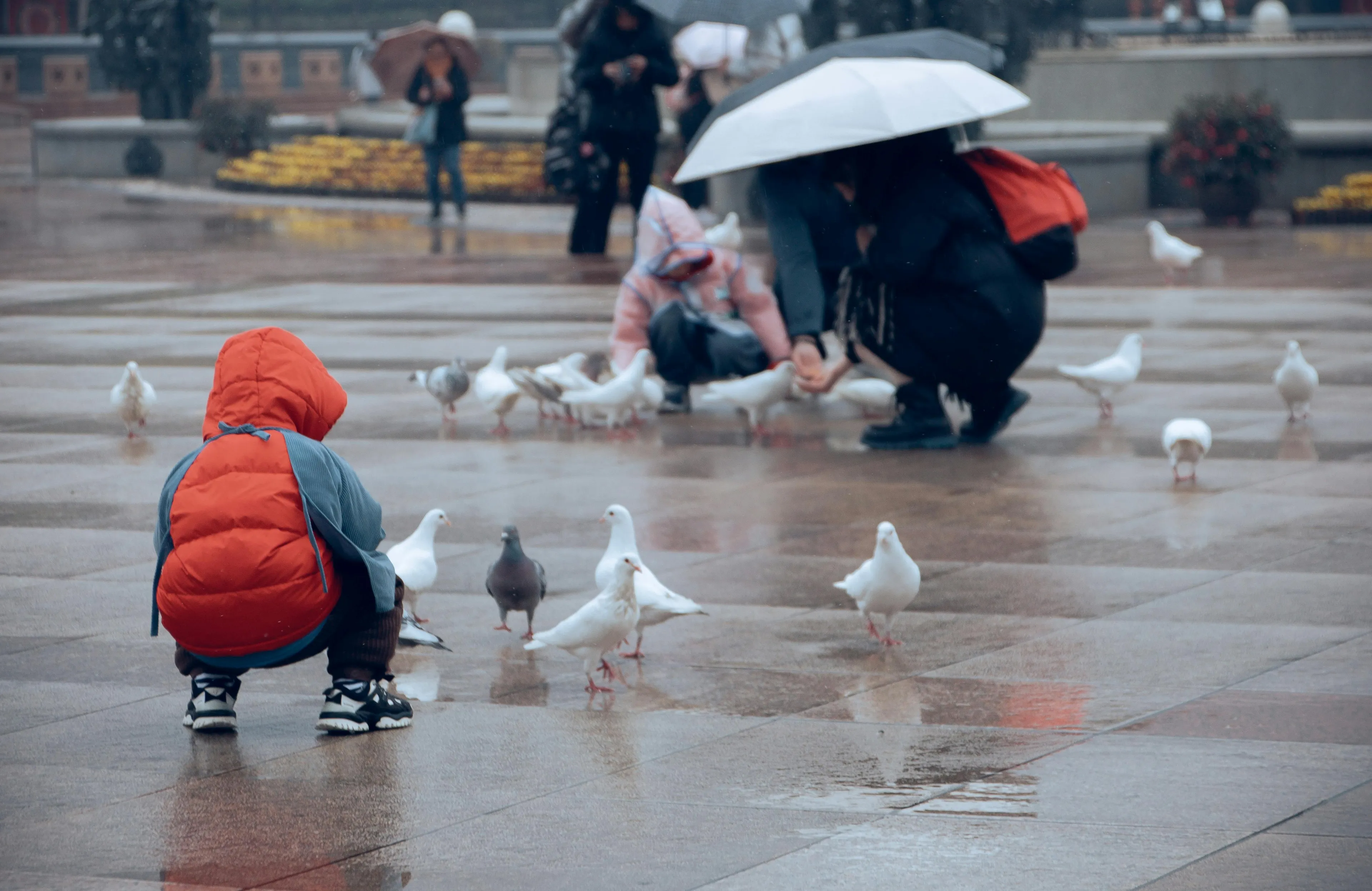 The Unexpected Heroes: How Urban Wildlife Thrives In Cityscapes
