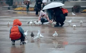 The Unexpected Heroes: How Urban Wildlife Thrives In Cityscapes