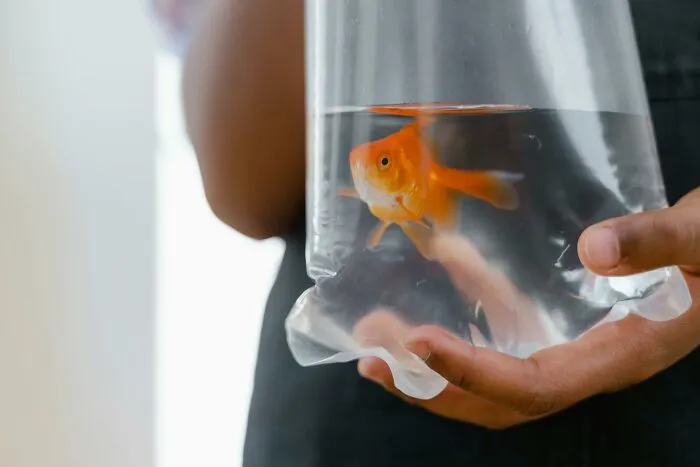 39 Men Online Tell About The Most Romantic Memories Of Small, Beautiful Things Their S.O. Did
