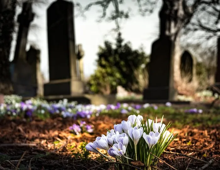 History Enthusiasts Are Sharing History Facts That Many People Would Find Shocking (50 Facts)