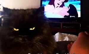 50 Memes For Certified Disney Adults And Just Ordinary People That Like A Fun Meme