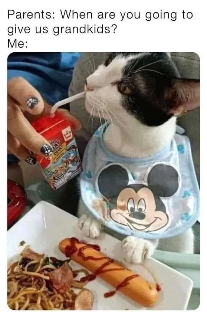 50 Memes For Certified Disney Adults And Just Ordinary People That Like A Fun Meme