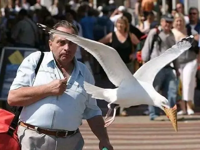 “Fotos o no ha ocurrido”: 43 cosas que costaría creer si no hubiera pruebas