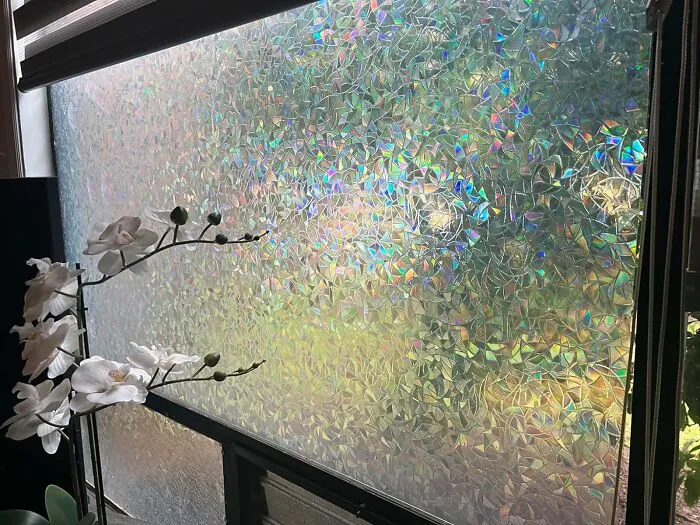 This Renter-Friendly <span Style="Font:inherit;color:#d74b1f;"> Privacy Film </Span> Will Keep Nosey Eyes Out While Still Bringing All The Light In