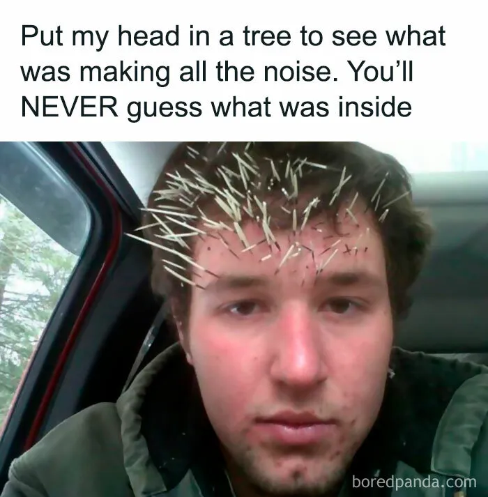 “Meme God”: 50 Hilarious Memes From This IG Page That Might Awaken Your Last Brain Cell