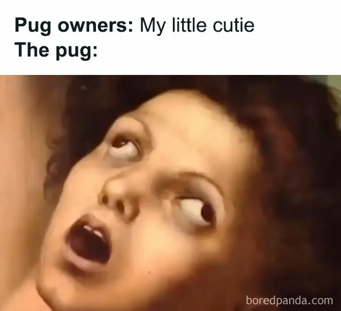“Meme God”: 50 Hilarious Memes From This IG Page That Might Awaken Your Last Brain Cell