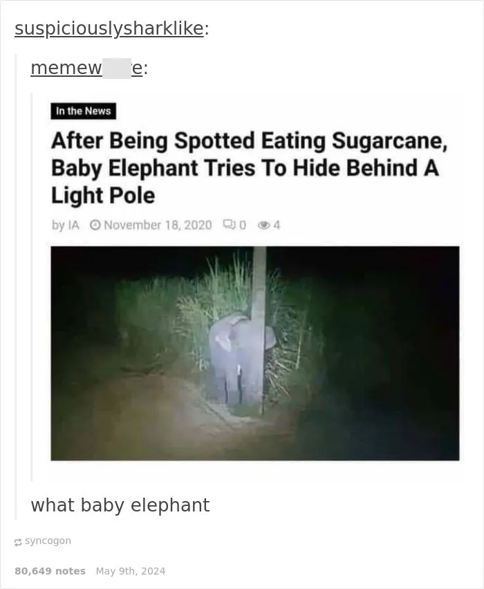 “Meme God”: 50 Hilarious Memes From This IG Page That Might Awaken Your Last Brain Cell