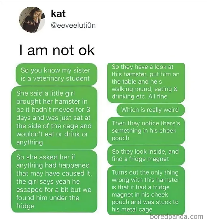 Poor Hamster Lmfao