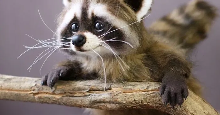 This Artist Makes Felted Wool Animals Through Needle Felting (21 New Pics)