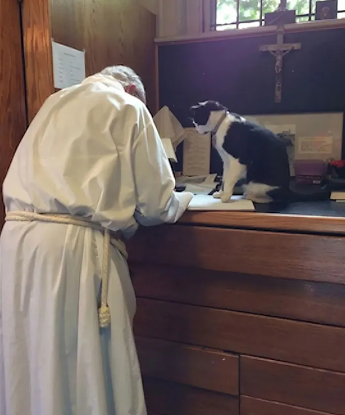 "Make Sure You Tell Everyone That Feeding Their Cats Lots Of Treaties And Fishies Practically Guarantees A Spot In Heaven"