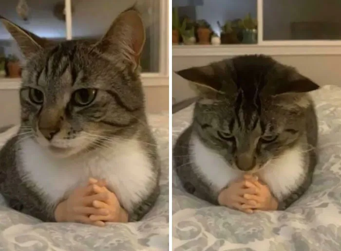 Let Us Pray