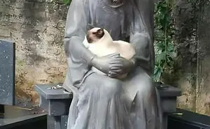 50 Hilariously Blessed Pics That Prove That Cats Are Godsent