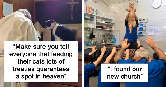 50 Hilariously Blessed Pics That Prove That Cats Are Godsent
