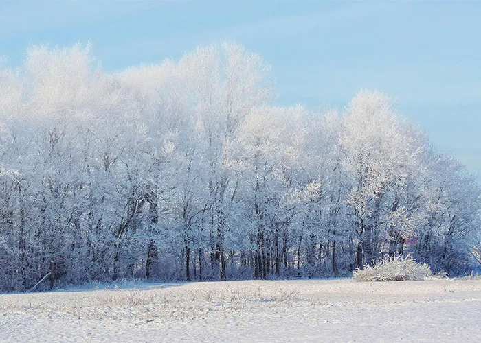 "Rural Folks, What Are The Things City Folks Won't Understand?" (50 Answers)