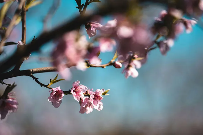 “I’m Old Now”: 30 Things That Made People Realize Their Age