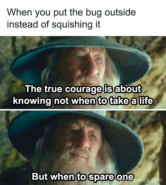 "One Meme To Rule Them All": 50 Hilarious LOTR Memes from Dedicated Fans