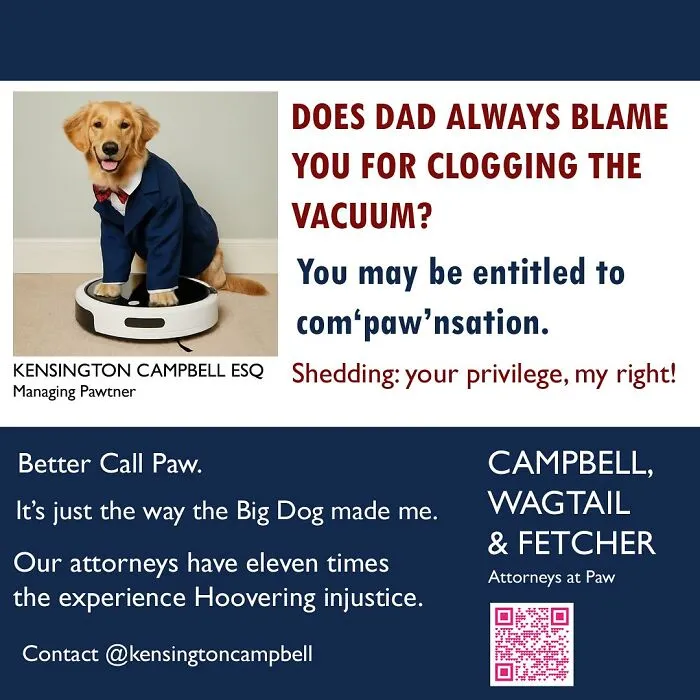 A Series Of Parody Ads For All The Dogs Seeking Attorney Services By Kensington Campbell (26 New Pics)