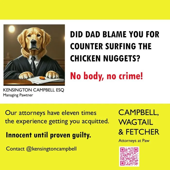 A Series Of Parody Ads For All The Dogs Seeking Attorney Services By Kensington Campbell (26 New Pics)