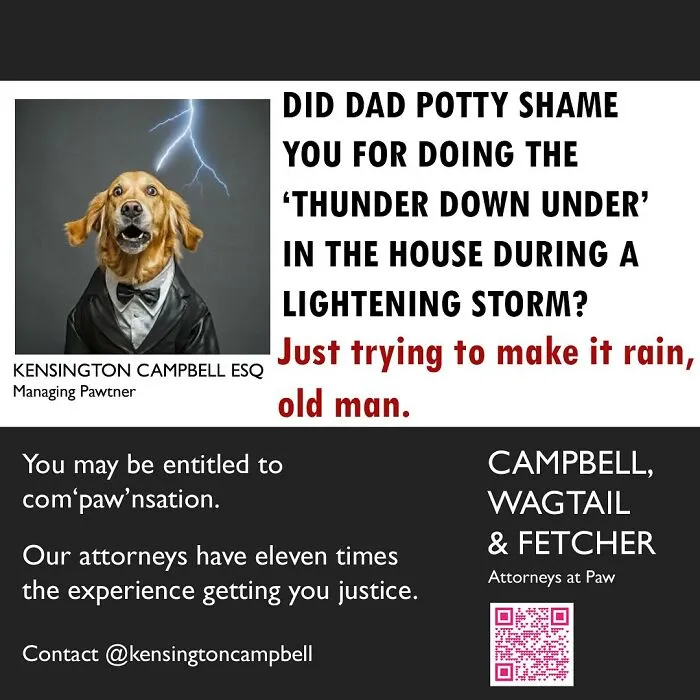 A Series Of Parody Ads For All The Dogs Seeking Attorney Services By Kensington Campbell (26 New Pics)