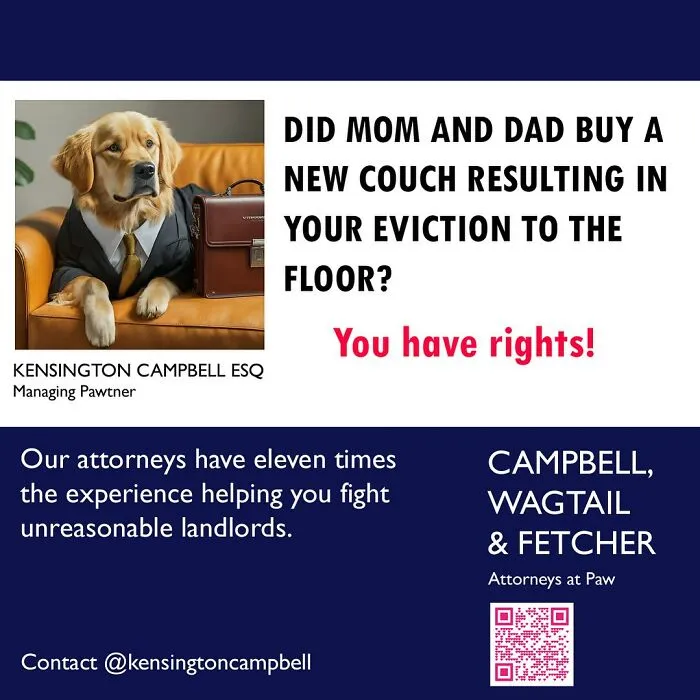 A Series Of Parody Ads For All The Dogs Seeking Attorney Services By Kensington Campbell (26 New Pics)