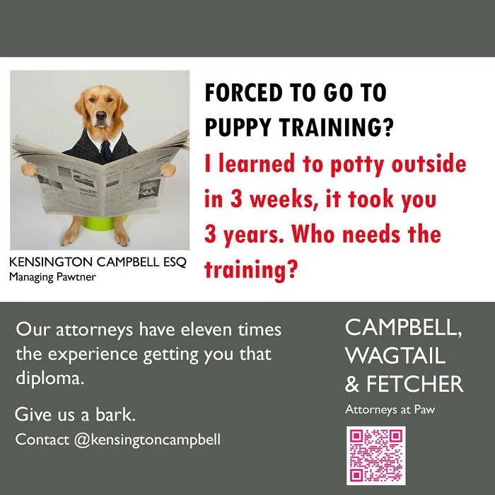 A Series Of Parody Ads For All The Dogs Seeking Attorney Services By Kensington Campbell (26 New Pics)