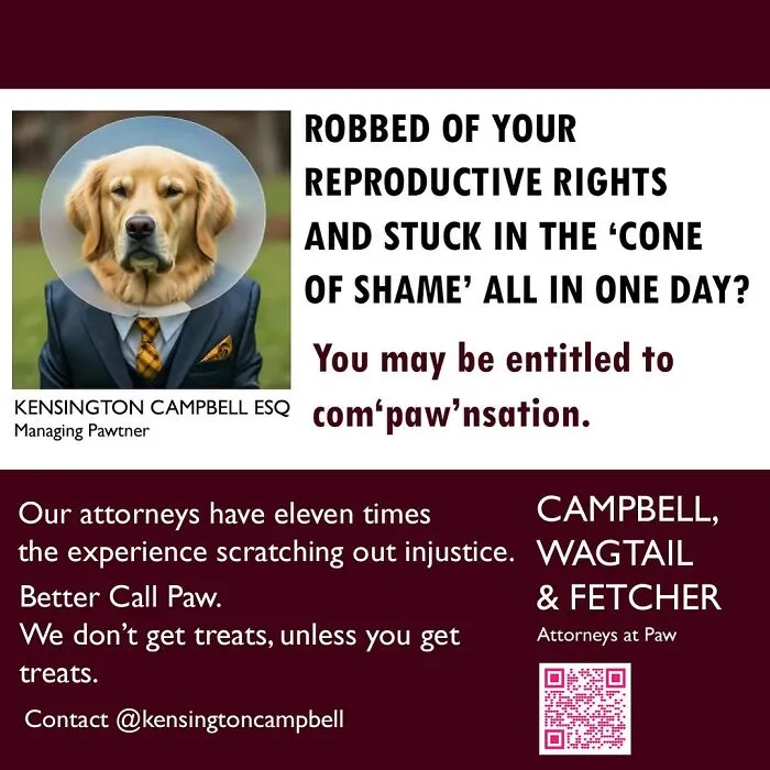 A Series Of Parody Ads For All The Dogs Seeking Attorney Services By Kensington Campbell (26 New Pics)