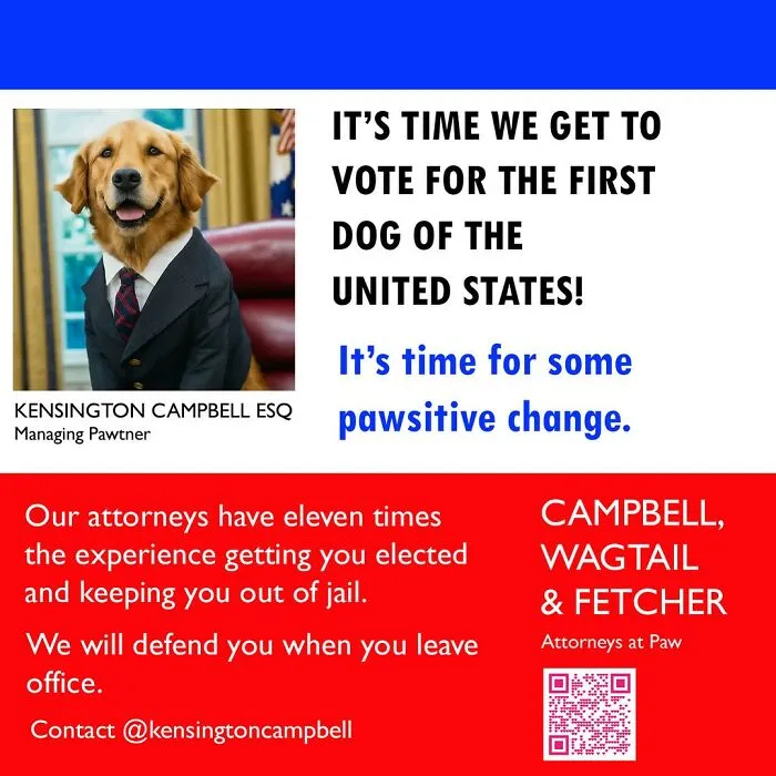 A Series Of Parody Ads For All The Dogs Seeking Attorney Services By Kensington Campbell (26 New Pics)