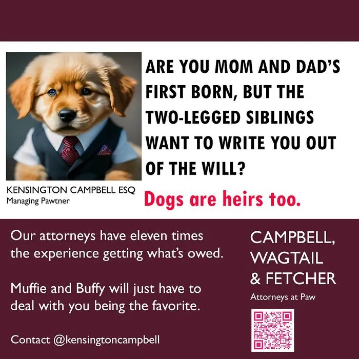 A Series Of Parody Ads For All The Dogs Seeking Attorney Services By Kensington Campbell (26 New Pics)
