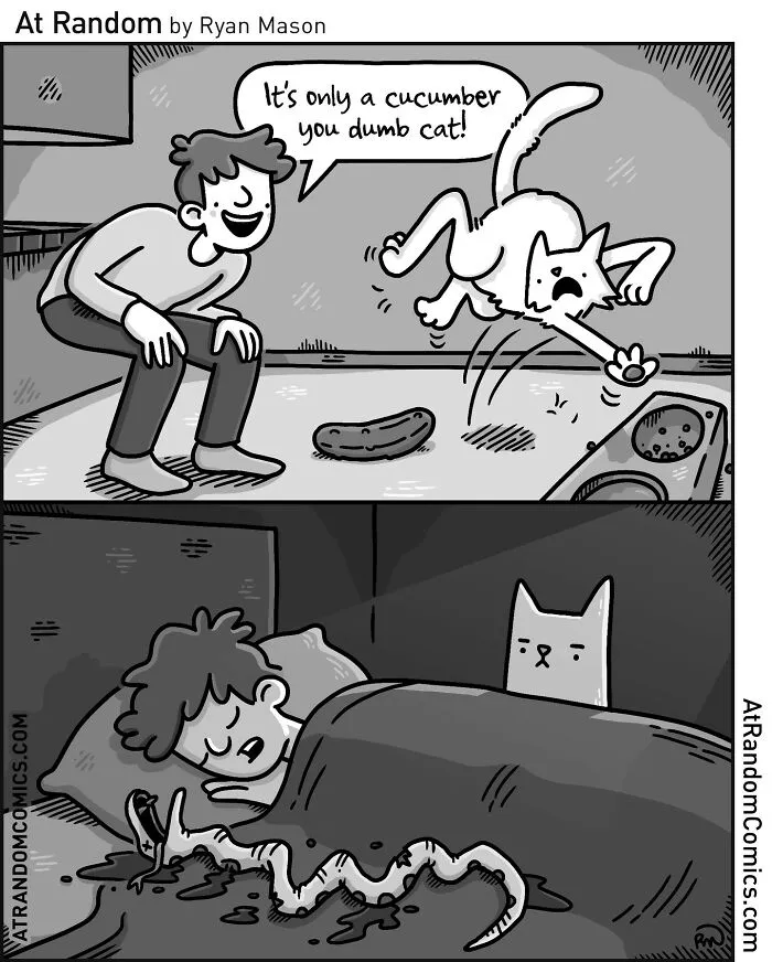 “At Random Comics”: 36 Witty Single-Panel Cartoons By This Artist (New Pics)