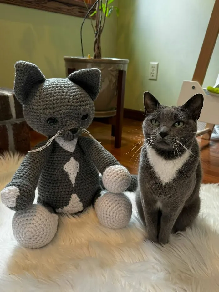 I Recreate People's Pets By Crocheting Their Replicas (7 Pics)