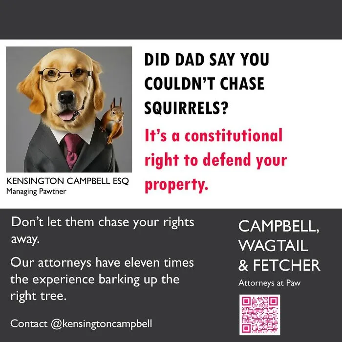 A Series Of Parody Ads For All The Dogs Seeking Attorney Services By Kensington Campbell (26 New Pics)