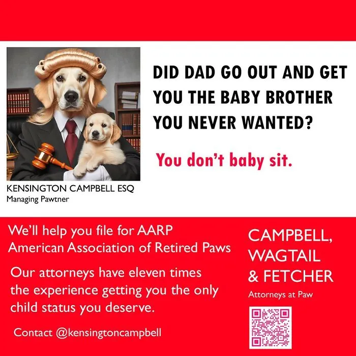 A Series Of Parody Ads For All The Dogs Seeking Attorney Services By Kensington Campbell (26 New Pics)