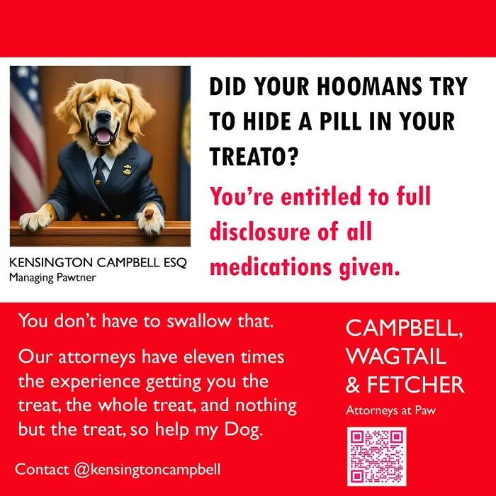 A Series Of Parody Ads For All The Dogs Seeking Attorney Services By Kensington Campbell (26 New Pics)