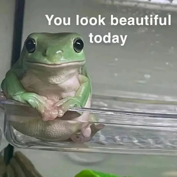 ‘Animals With Vibing Auras’: 50 Hilarious Pics Of Creatures Doing Random Things